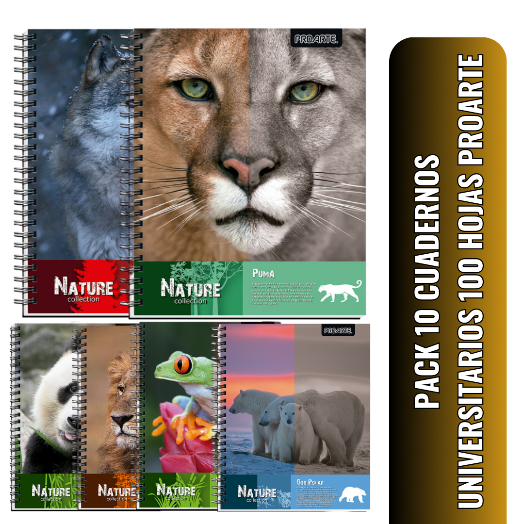 PACK CUADERNOS UNIVERSITARIOS NATURE 10 UNIDADES 100 HOJAS